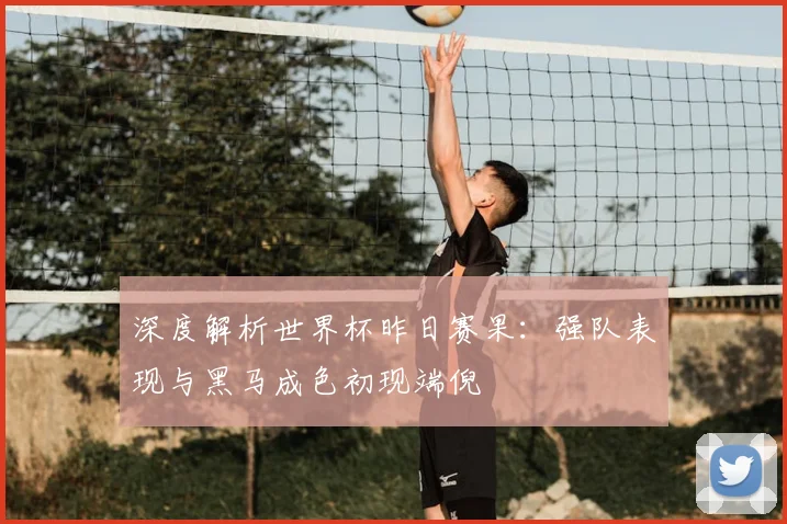 深度解析世界杯昨日赛果：强队表现与黑马成色初现端倪