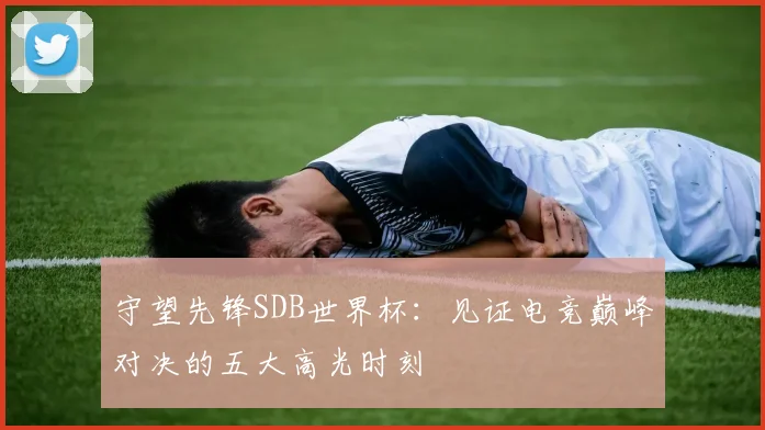 守望先锋SDB世界杯:见证电竞巅峰对决的五大高光时刻