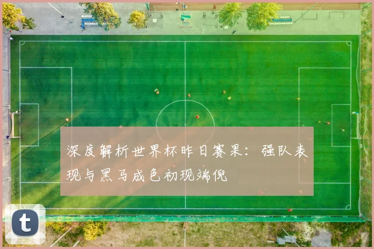 深度解析世界杯昨日赛果：强队表现与黑马成色初现端倪