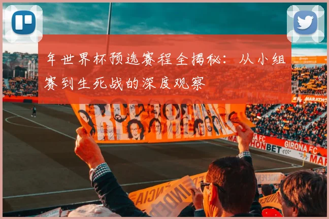 年世界杯预选赛程全揭秘：从小组赛到生死战的深度观察