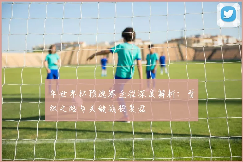 年世界杯预选赛全程深度解析:晋级之路与关键战役复盘